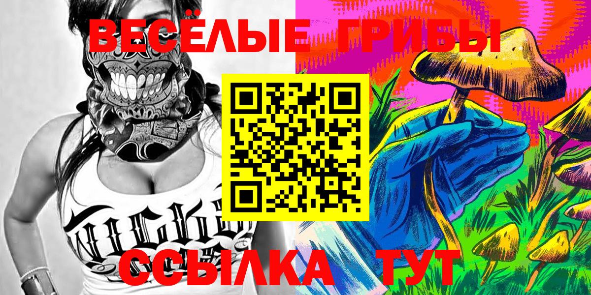 Псилоцибиновые грибы Psilocybe  Вход с VPN  Джанкой 